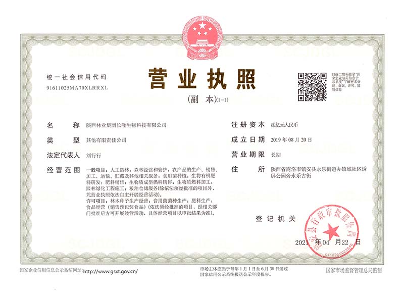 公司概況